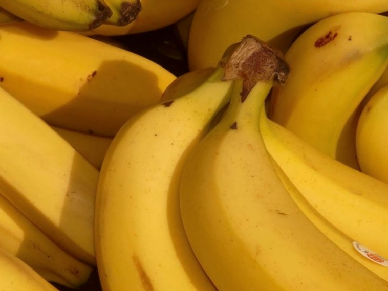12 amazing uses of Banana peels for Organic Farming